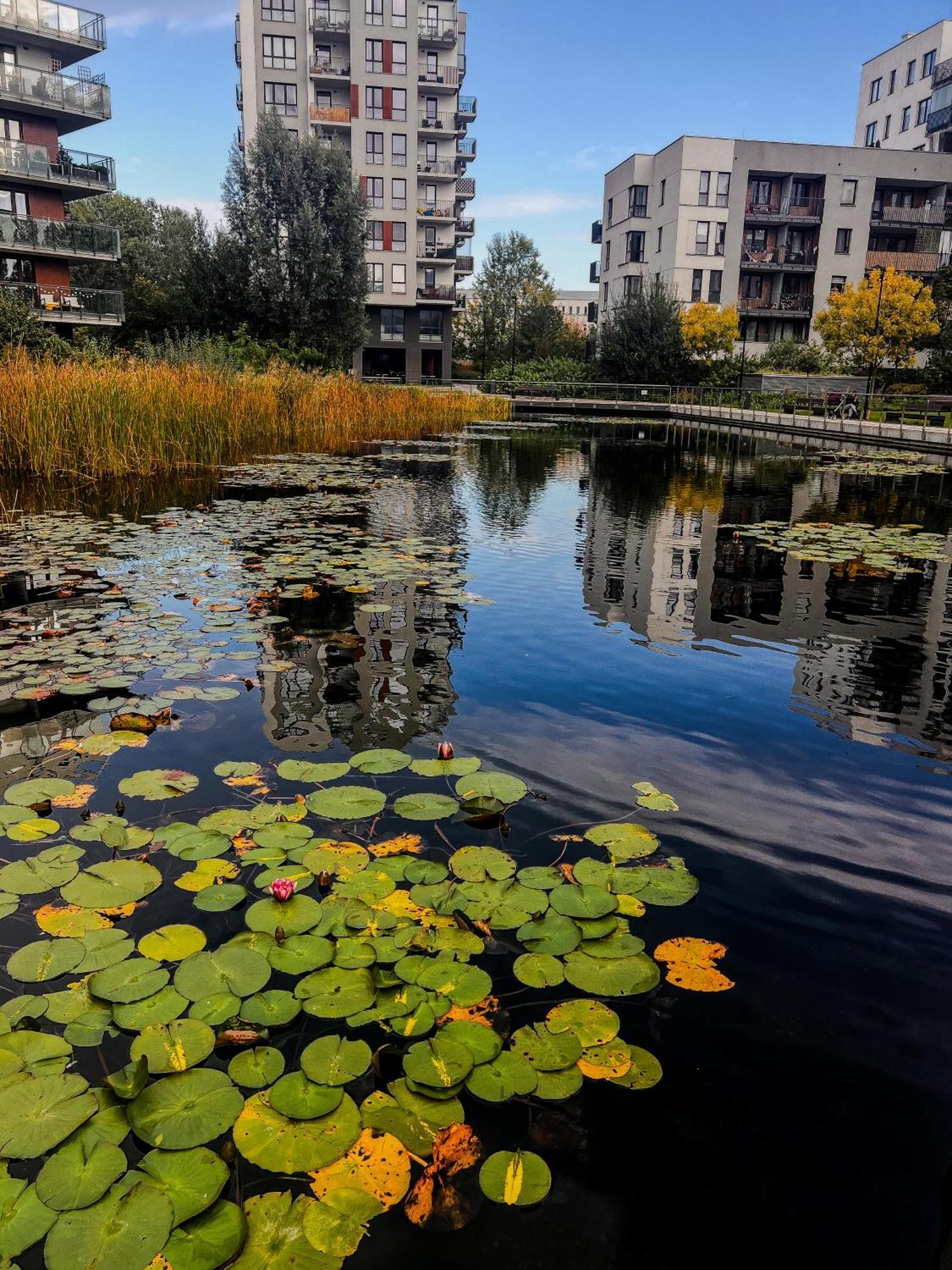 Apartament Lake Park Apartament With Free Parking Airport Netflix Warszawa Zewnętrze zdjęcie